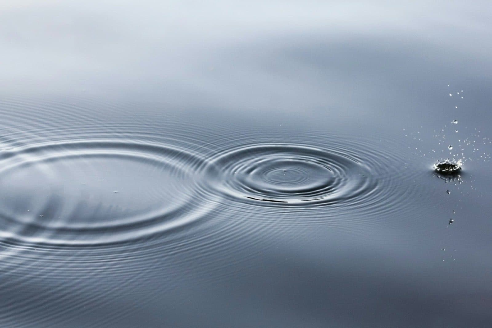 静かな水面に、いくつもの波紋が重なって広がっていく