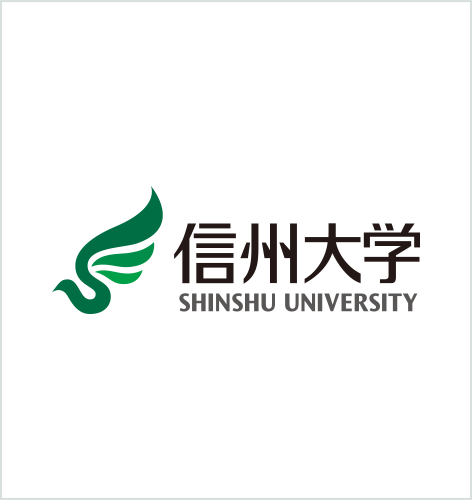 MEng Information Technology